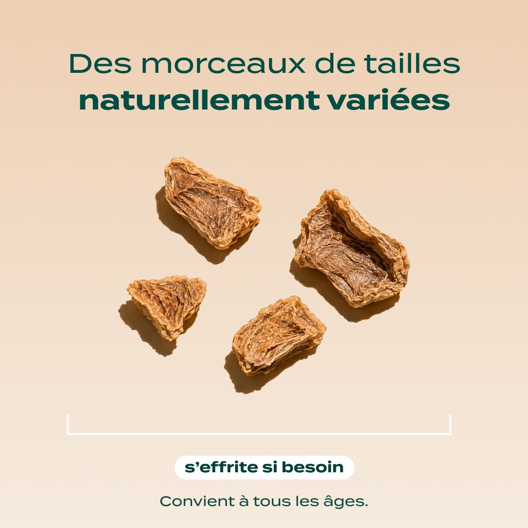 SNACK GÉSIER DE POULET