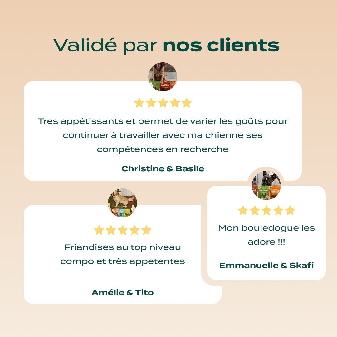 TRIO VIANDE SÉCHÉE