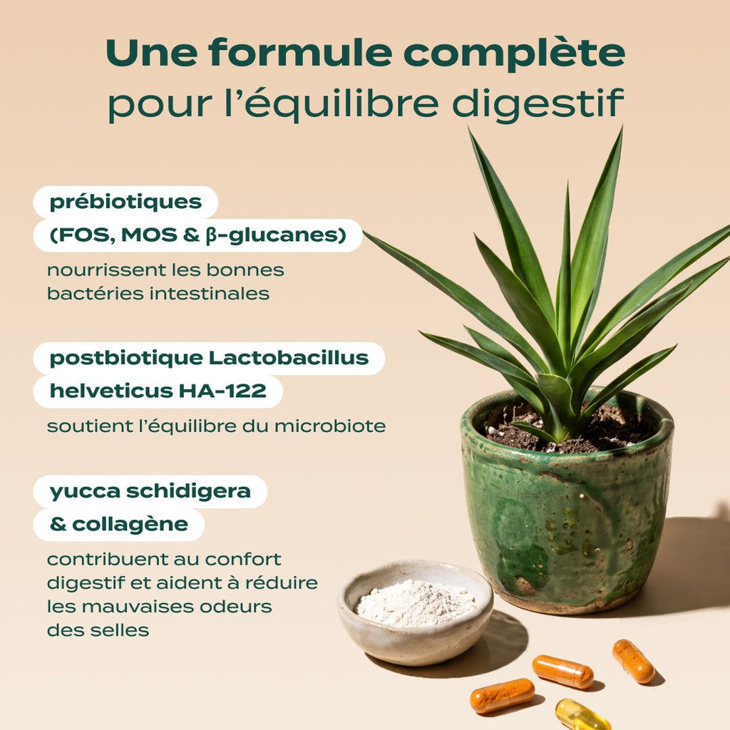 GUMMIES PROBIOTIQUES