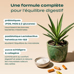 GUMMIES PROBIOTIQUES