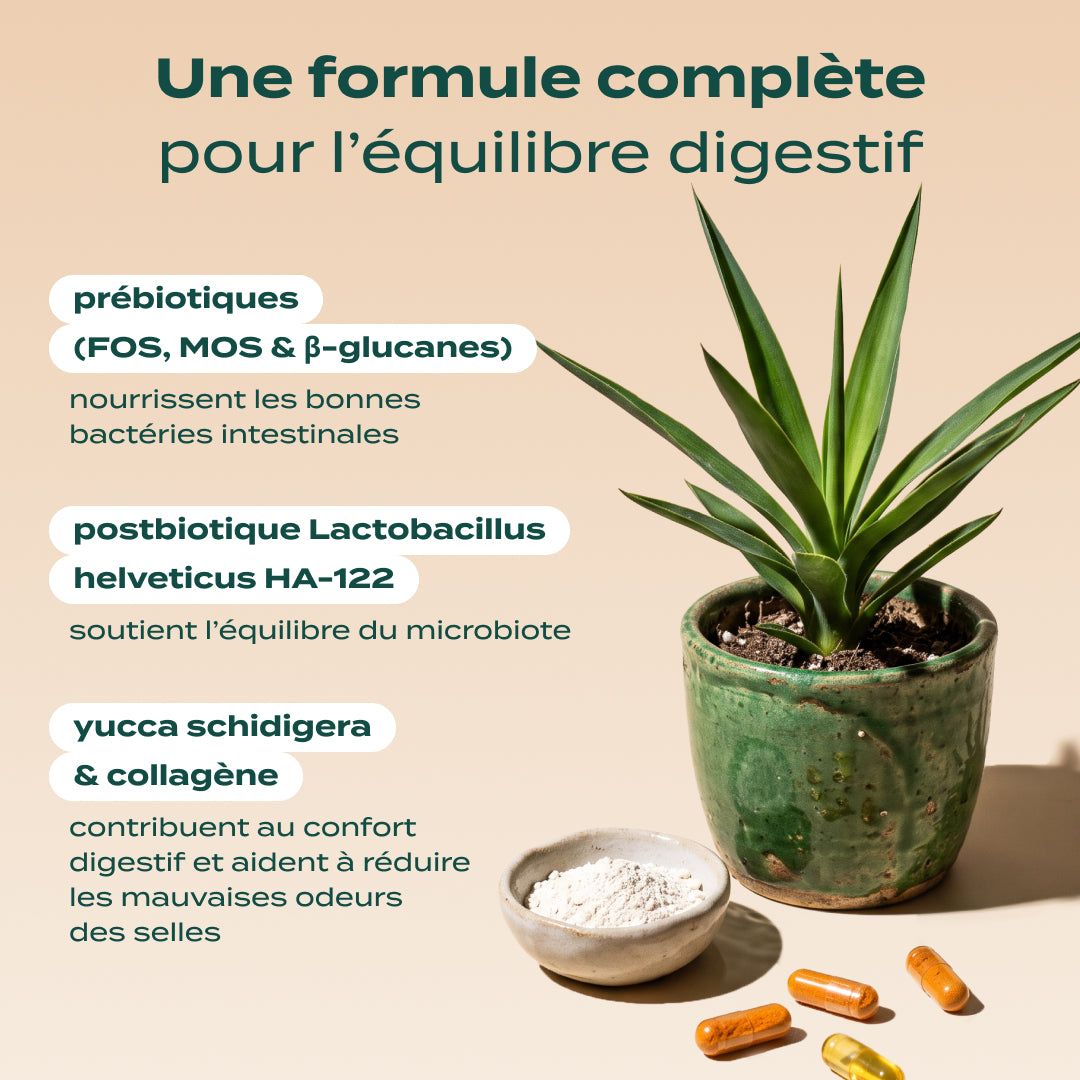 GUMMIES PROBIOTIQUES