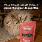 BISCROC' DENTAIRE