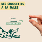 BOEUF, POMME, COURGE