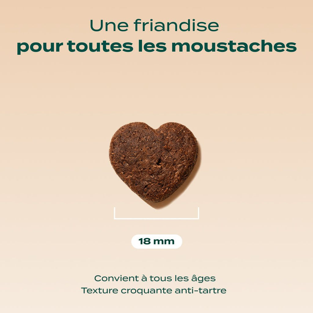 BISCROC' ANTI BOULES DE POILS