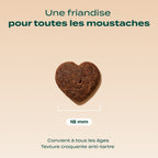 BISCROC' ANTI BOULES DE POILS