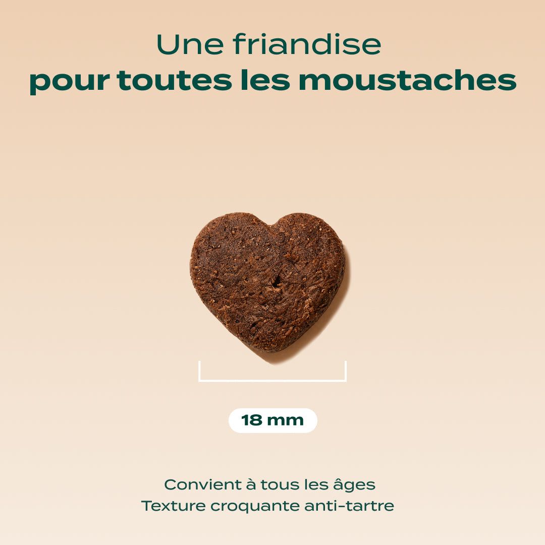 BISCROC' ANTI BOULES DE POILS