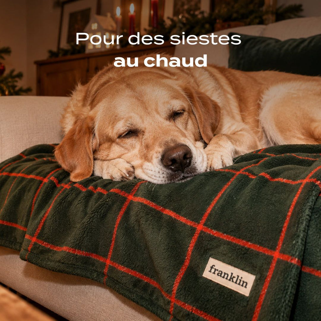 PLAID À CARREAUX