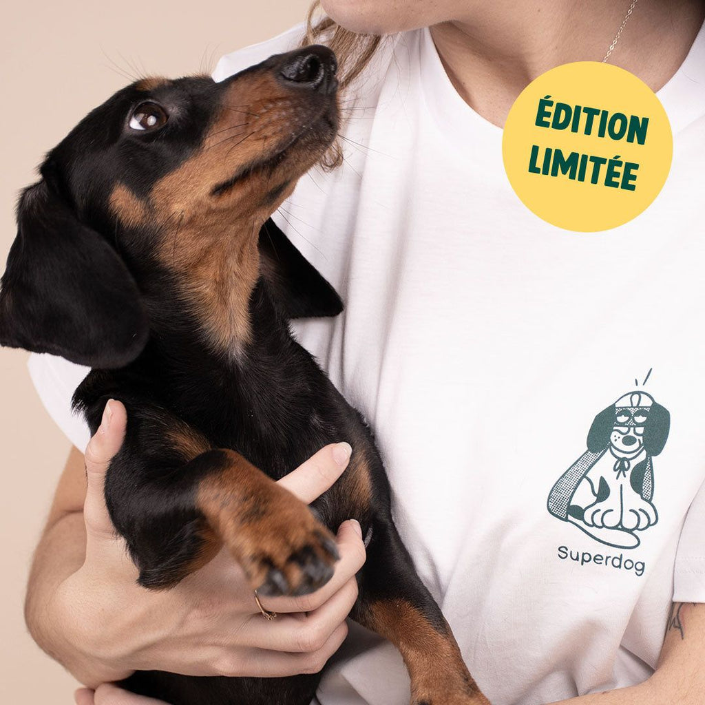 T-SHIRT UNISEXE SUPER-HÉROS CHIEN