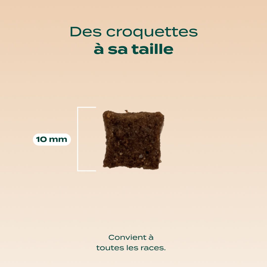 AGNEAU, DINDE, VALÉRIANE