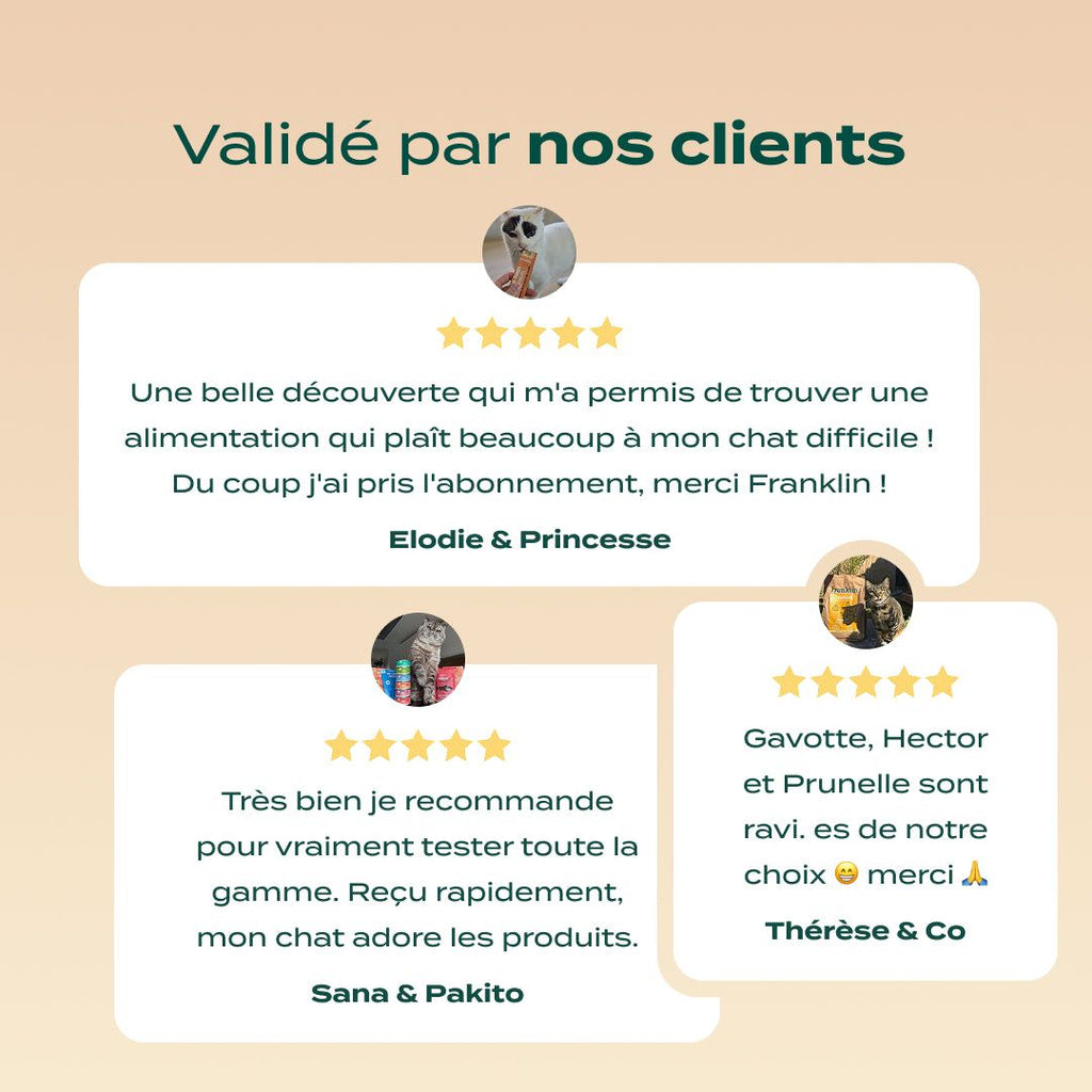 PACK DÉCOUVERTE CHAT