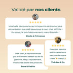 PACK DÉCOUVERTE CHAT