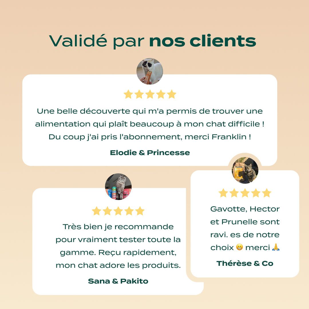 PACK DÉCOUVERTE CHAT