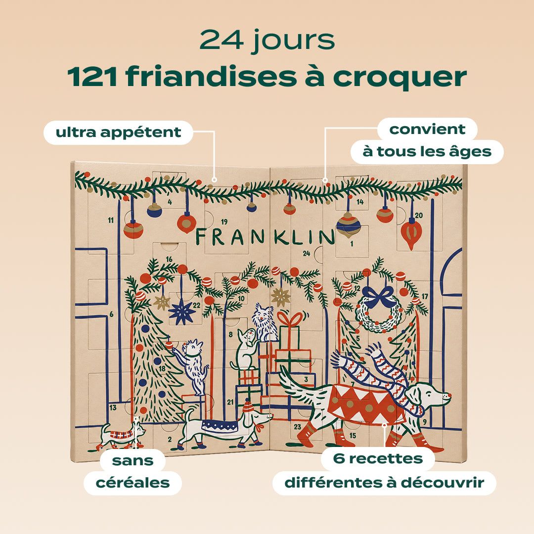 CALENDRIER DE L'AVENT