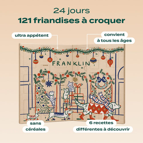 CALENDRIER DE L'AVENT