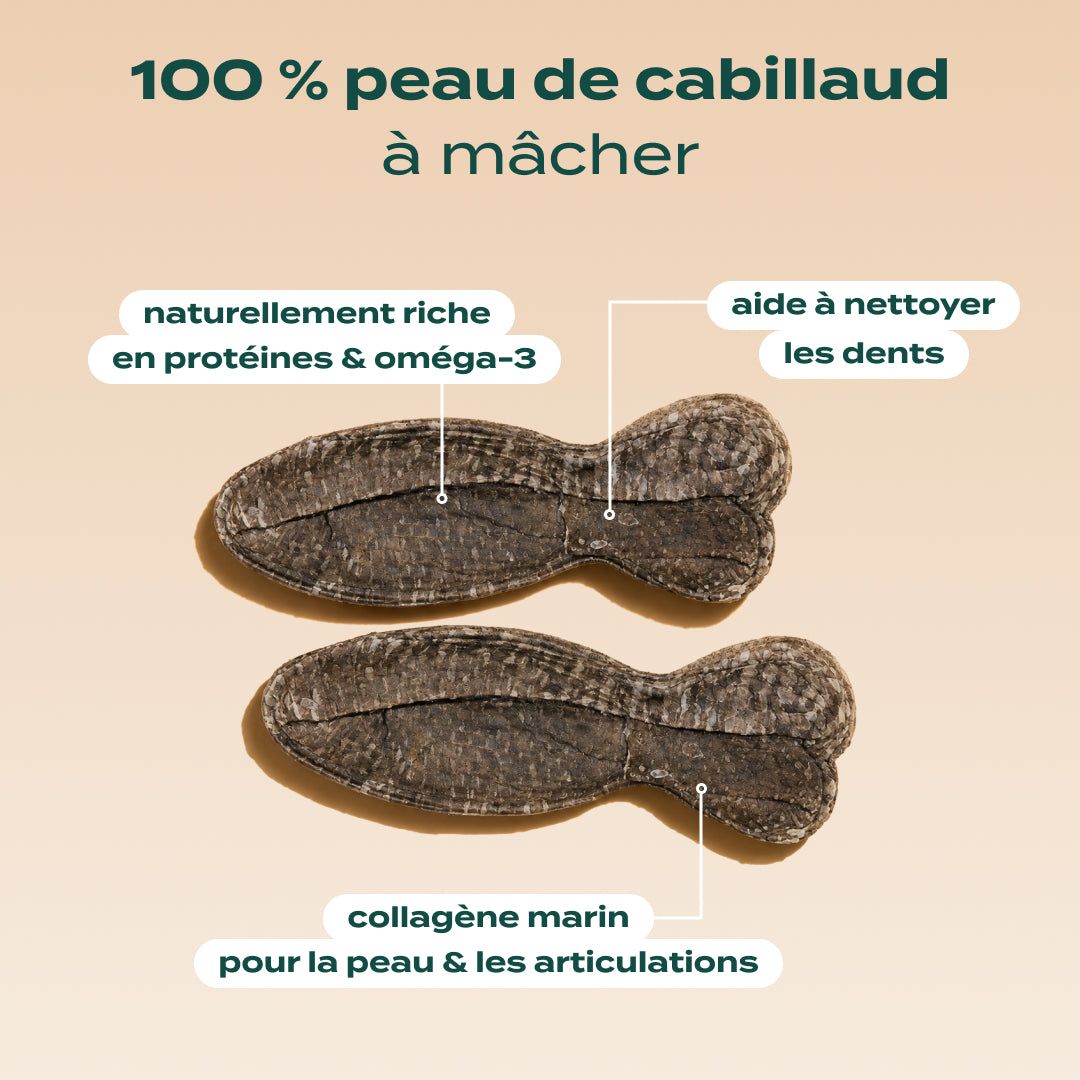 DUO 100% COLLAGÈNE