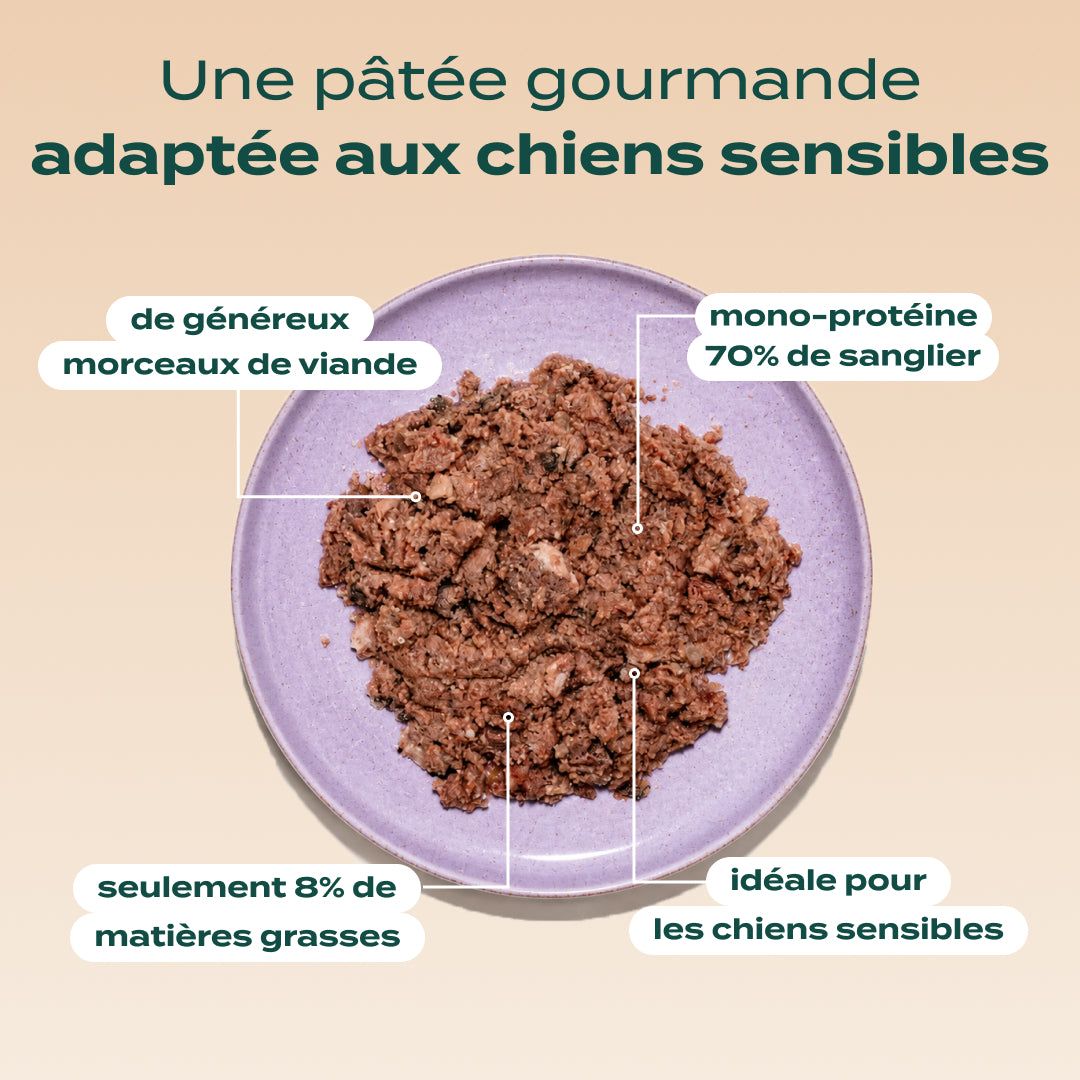 SANGLIER, MYRTILLE, ROMARIN