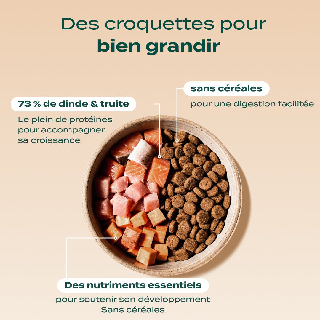 PACK DÉCOUVERTE CHIOT