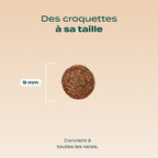 DINDE, CANARD, CANNEBERGE
