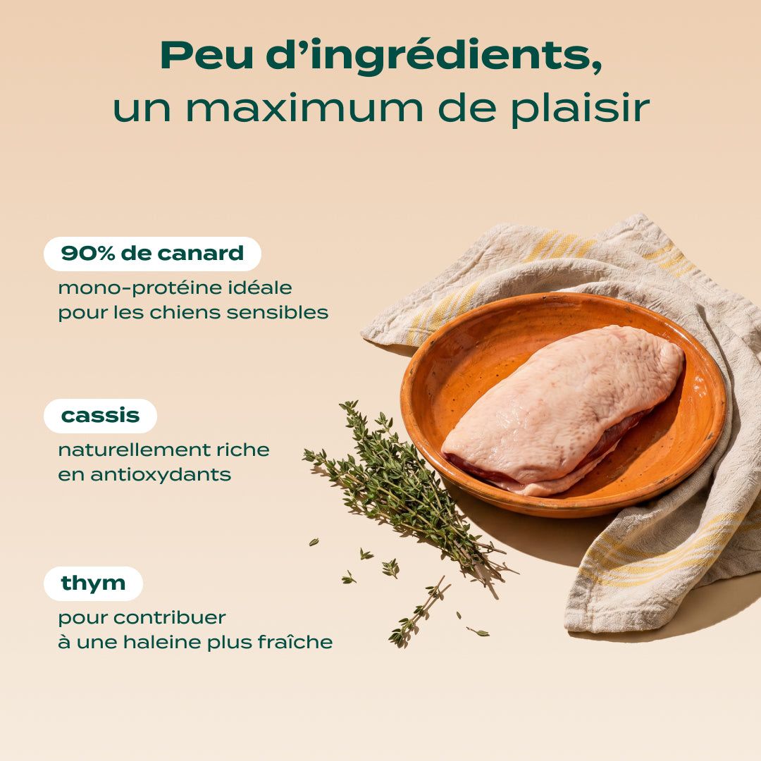 CANARD SÉCHÉ