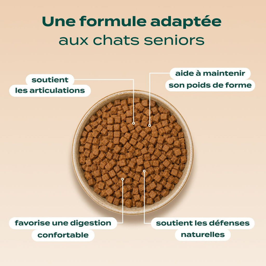 POULET, MYRTILLE, BASILIC