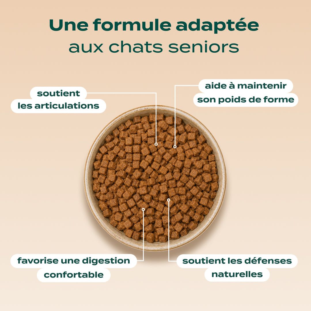 POULET, MYRTILLE, BASILIC