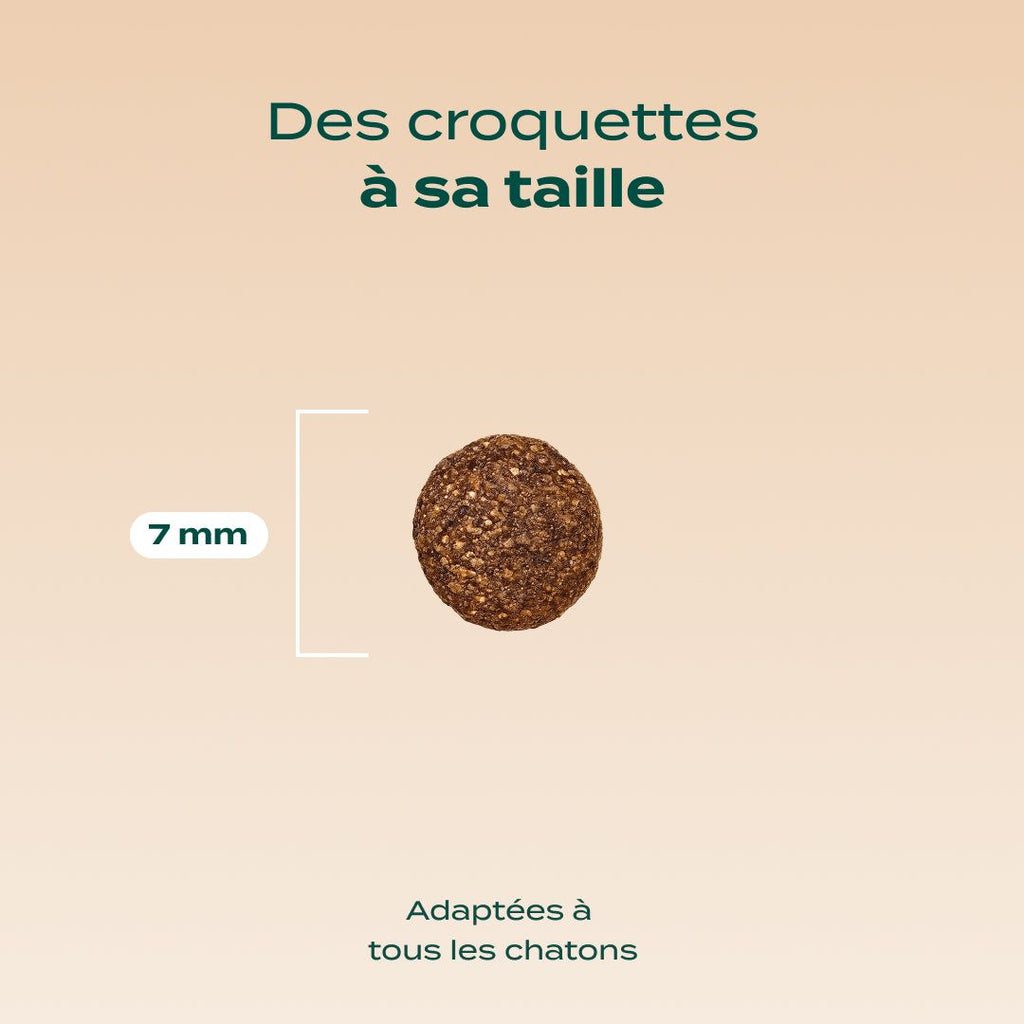 POULET, SAUMON, CAROTTE