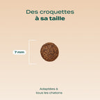 POULET, SAUMON, CAROTTE