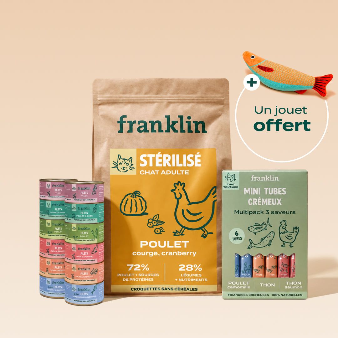 PACK DÉCOUVERTE CHAT