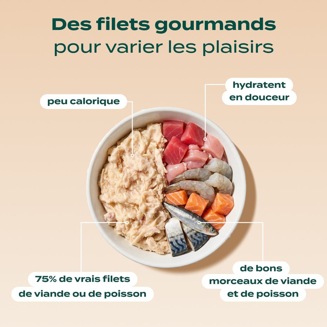 PACK CHAT STÉRILISÉ