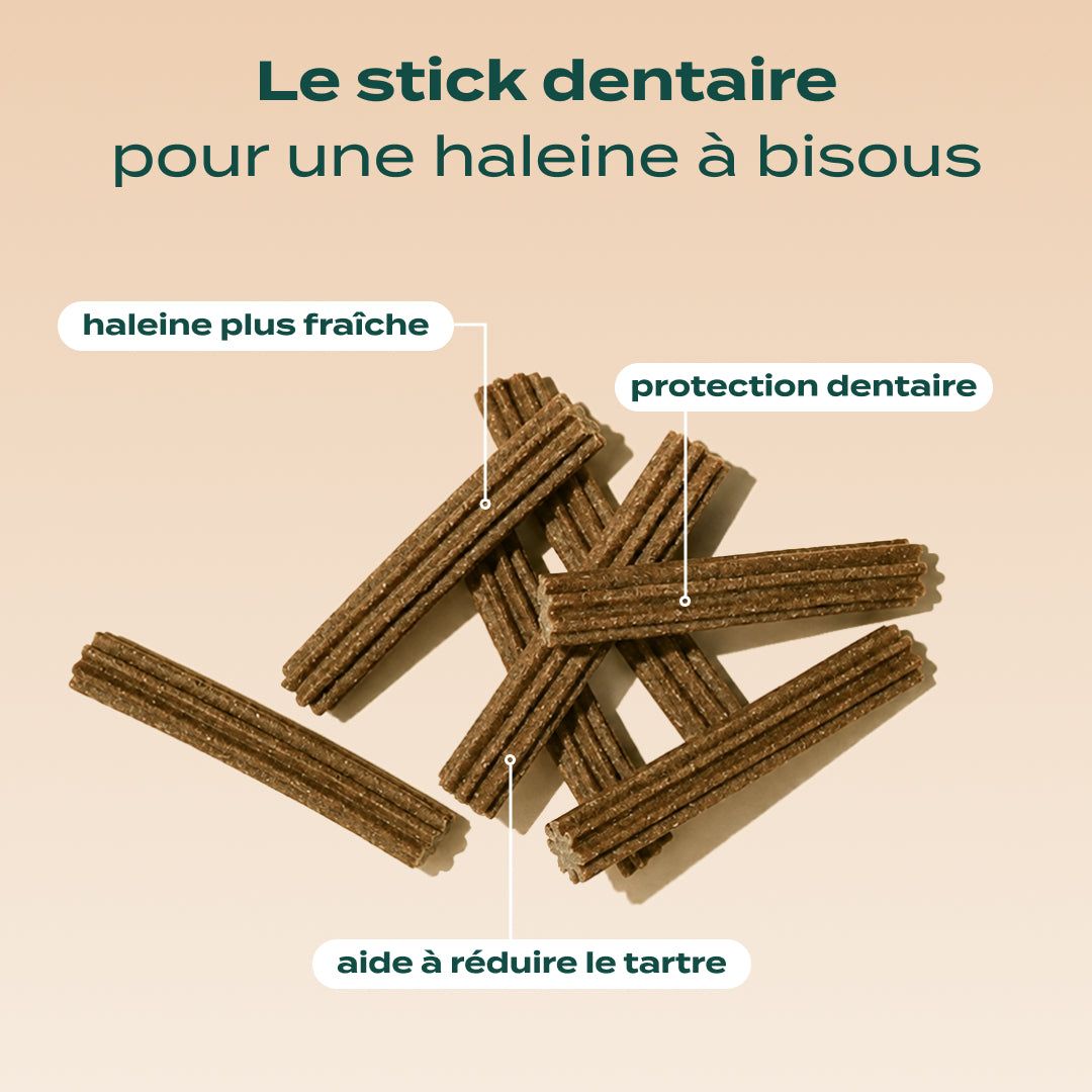 STICKS MENTHE, SAUGE