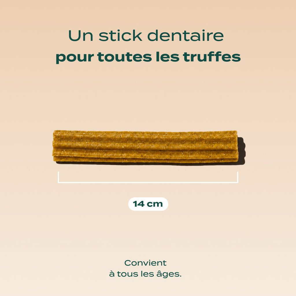 STICKS AU FROMAGE
