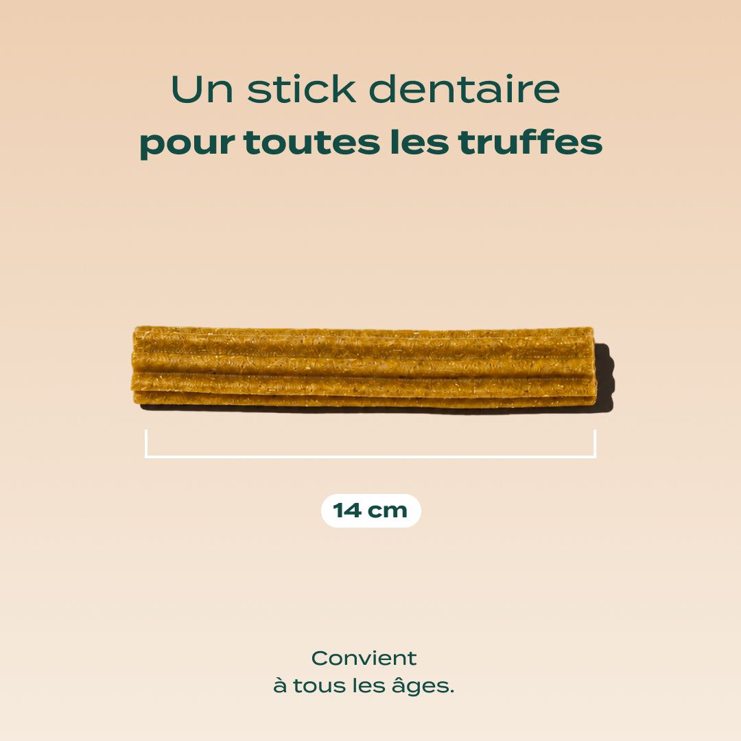 STICKS AU FROMAGE