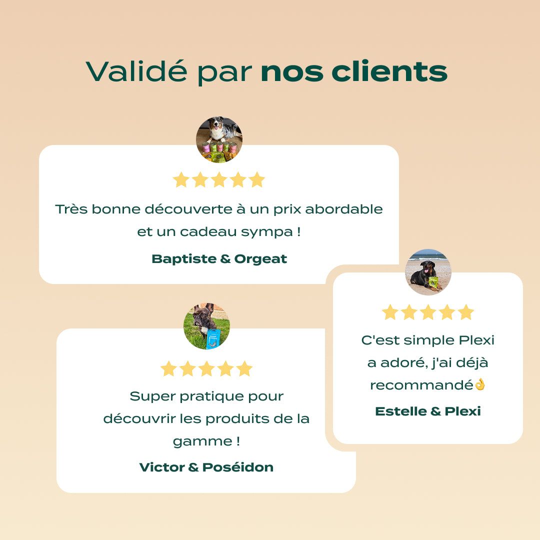 PACK DÉCOUVERTE CHIEN