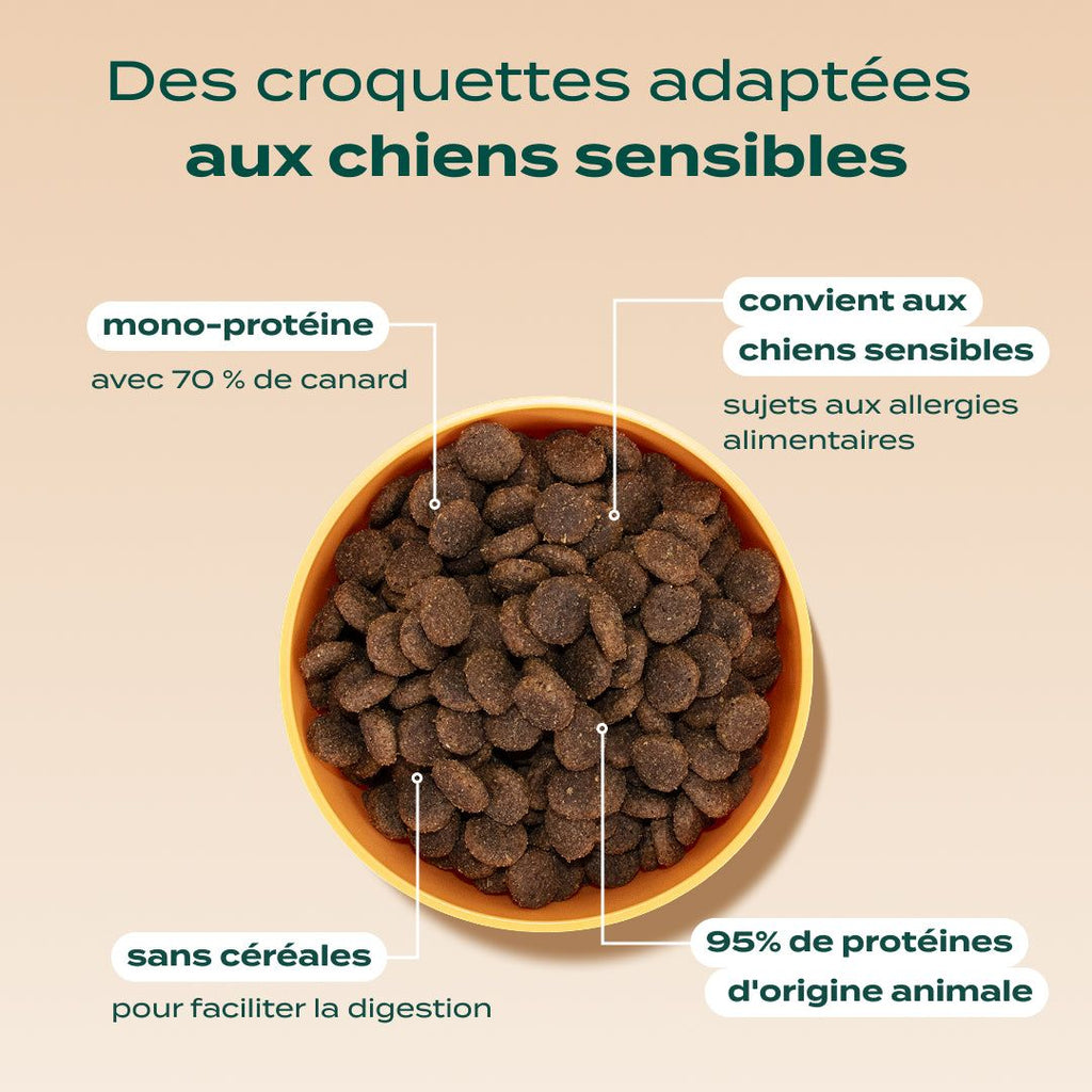 CANARD, POMME, CAROTTE