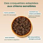CANARD, POMME, CAROTTE
