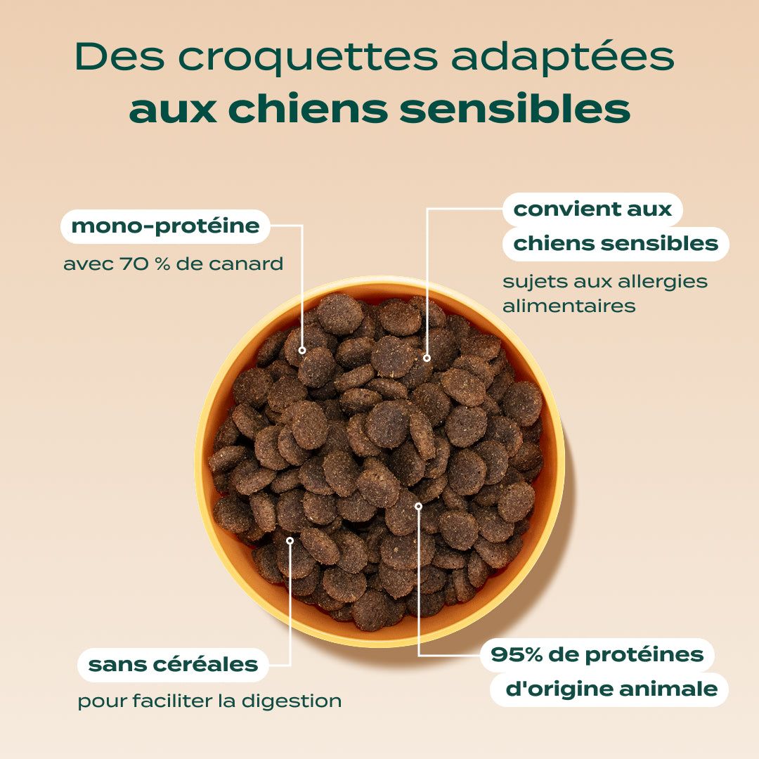 CANARD, POMME, CAROTTE