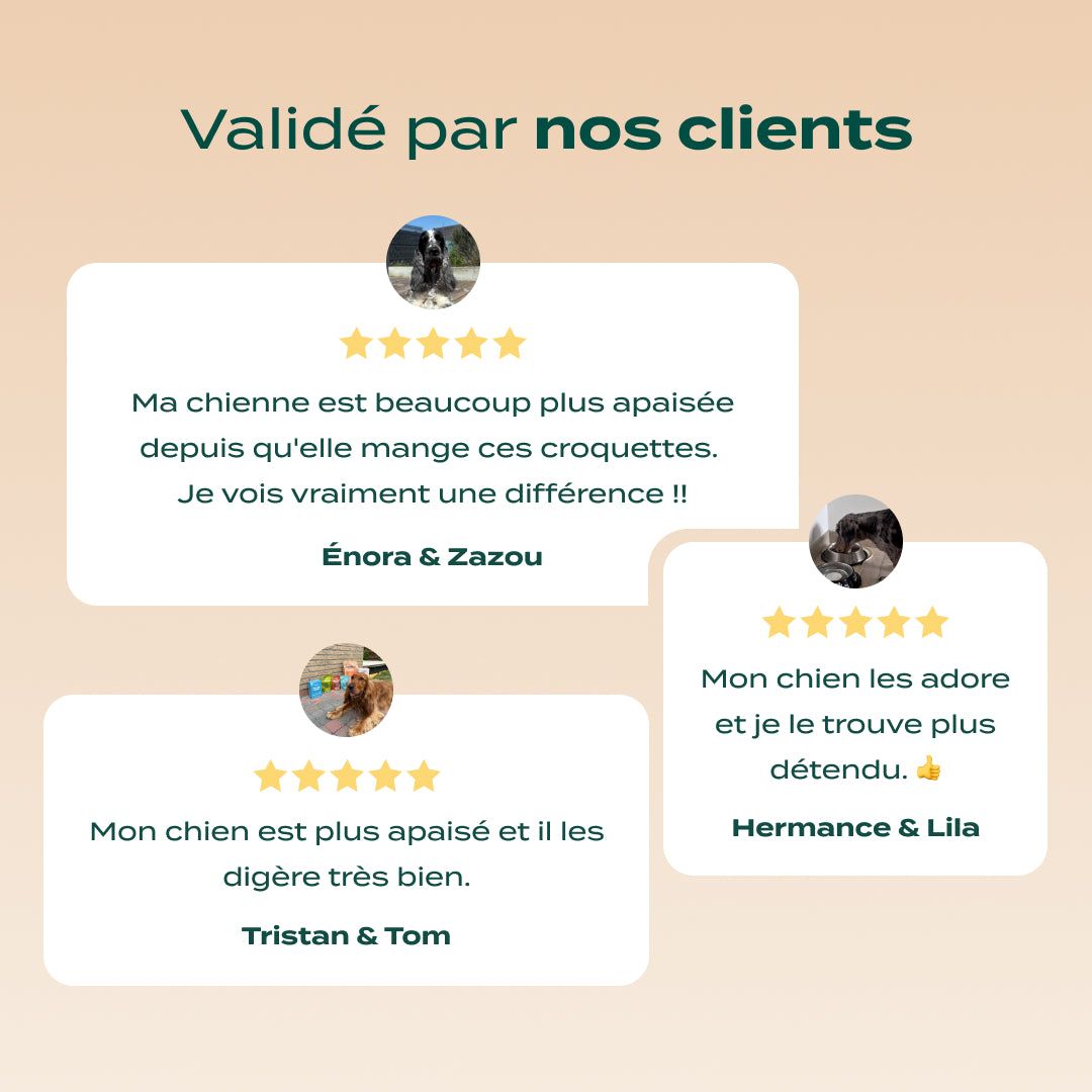 DINDE, SAUMON, VALÉRIANE