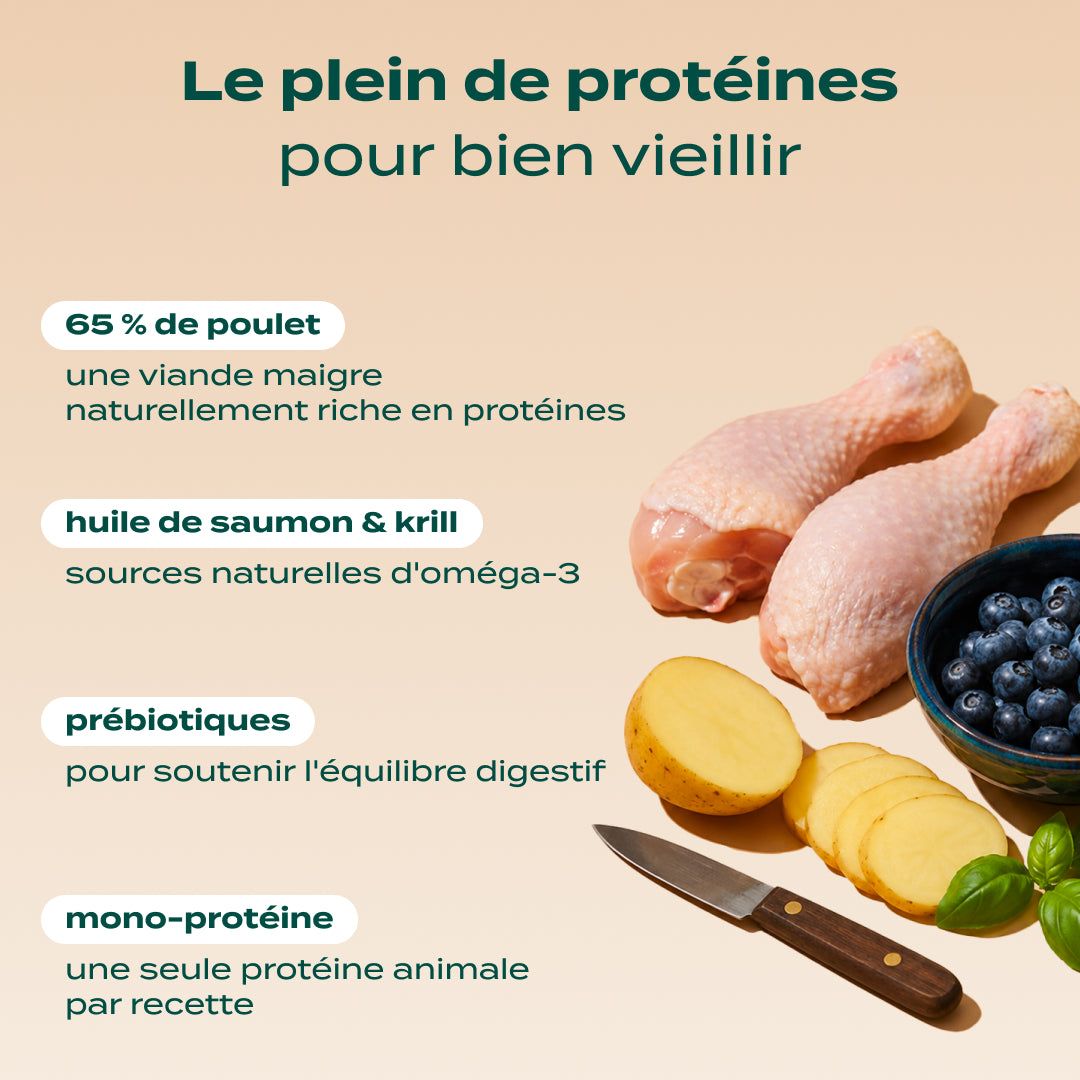 POULET, MYRTILLE, BASILIC