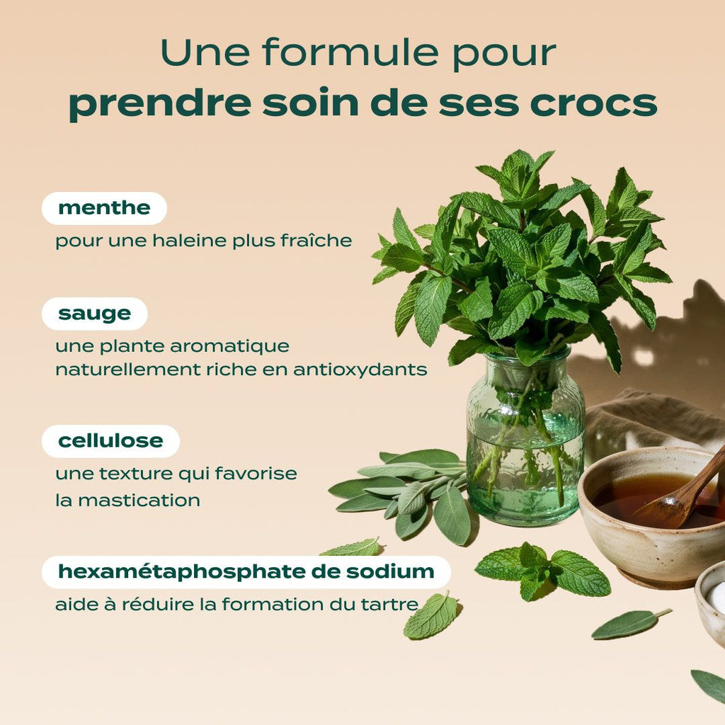 STICKS MENTHE, SAUGE