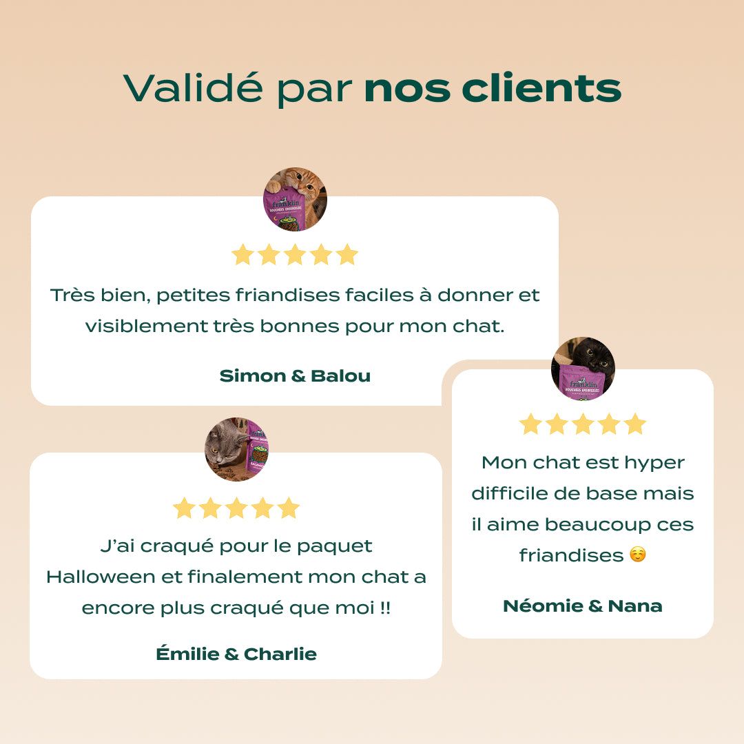 BOUCHÉES ENSORCELÉES SAUMON, CITROUILLE