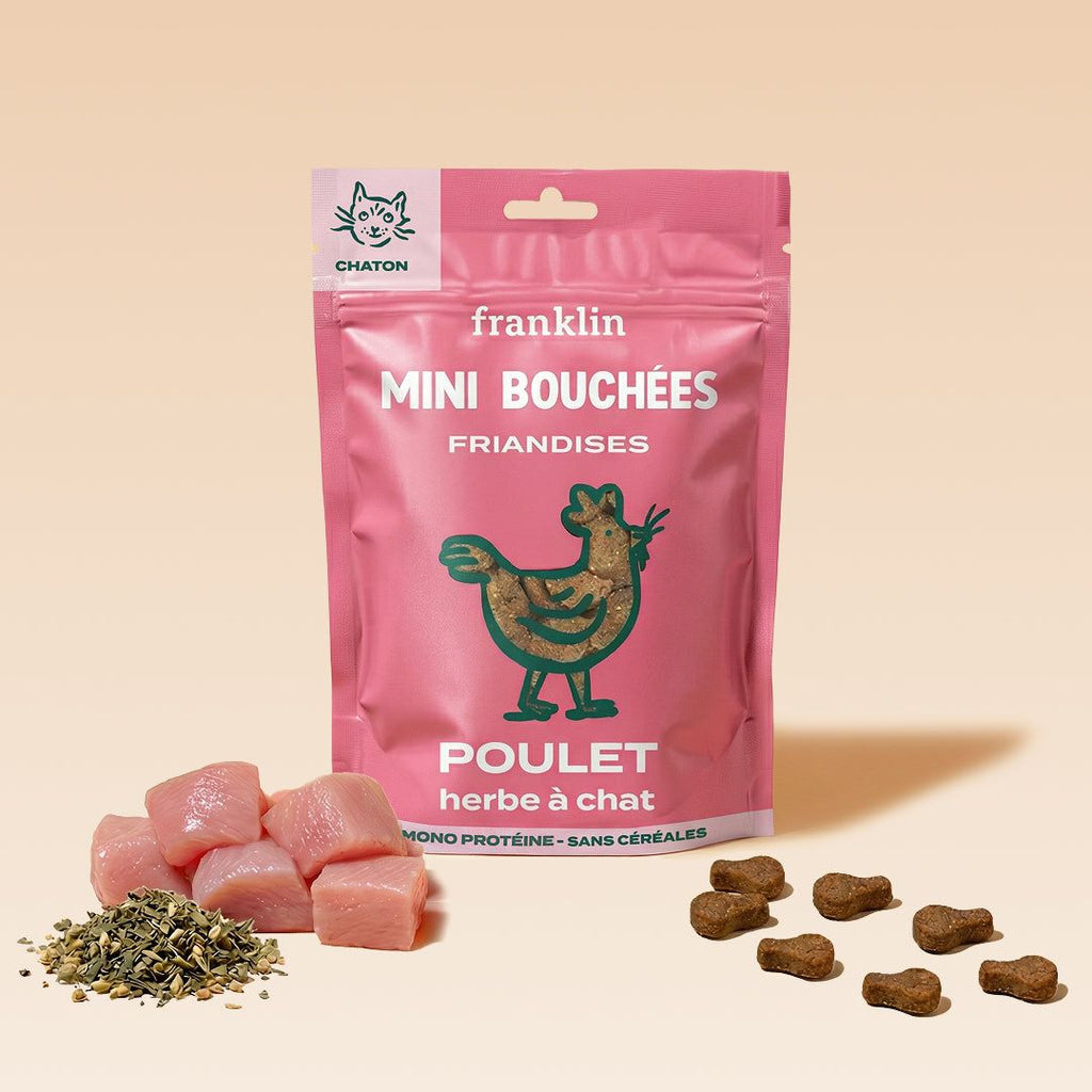 MINI BOUCHÉES POULET