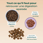 PACK DIGESTION CHIEN