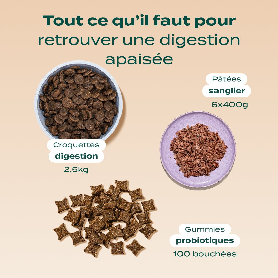 PACK DIGESTION CHIEN