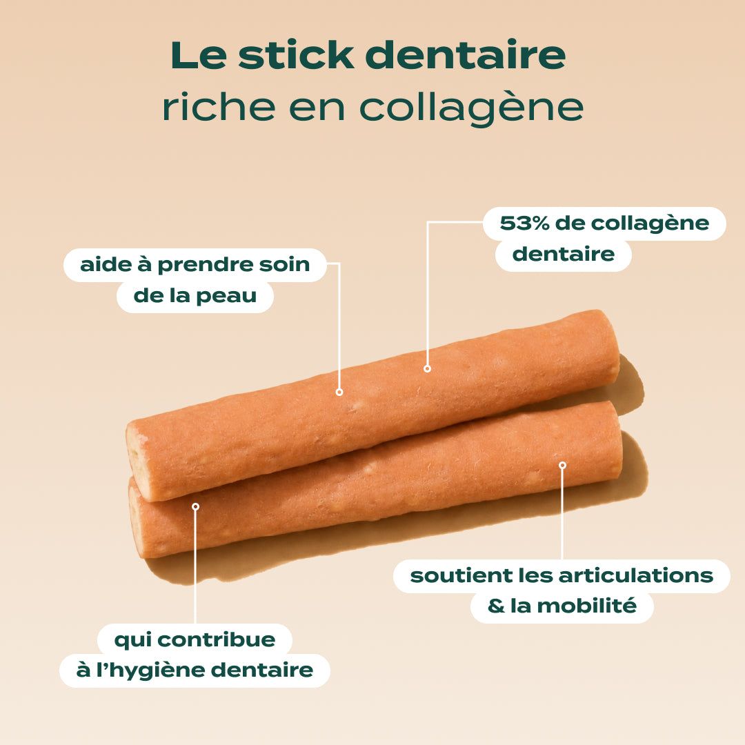 PACK DENTAIRE CHIEN