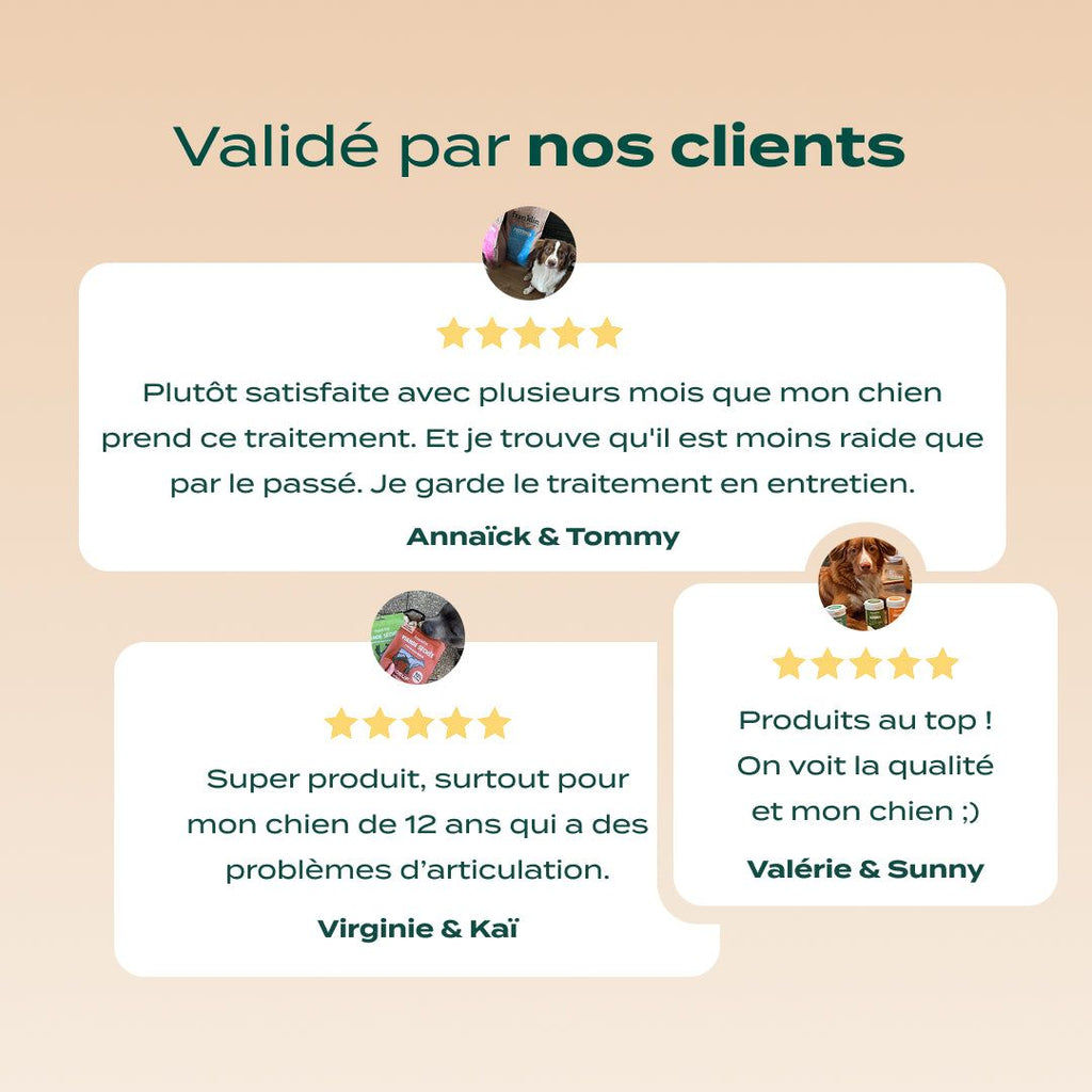 PACK CHIEN SENIOR