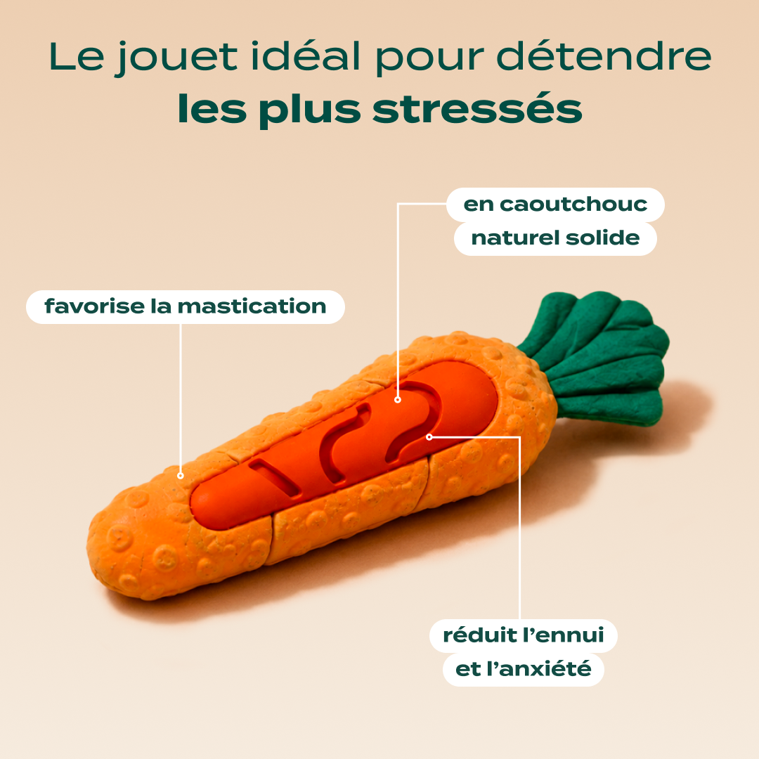 PACK DÉCOUVERTE ANTI-STRESS CHIEN
