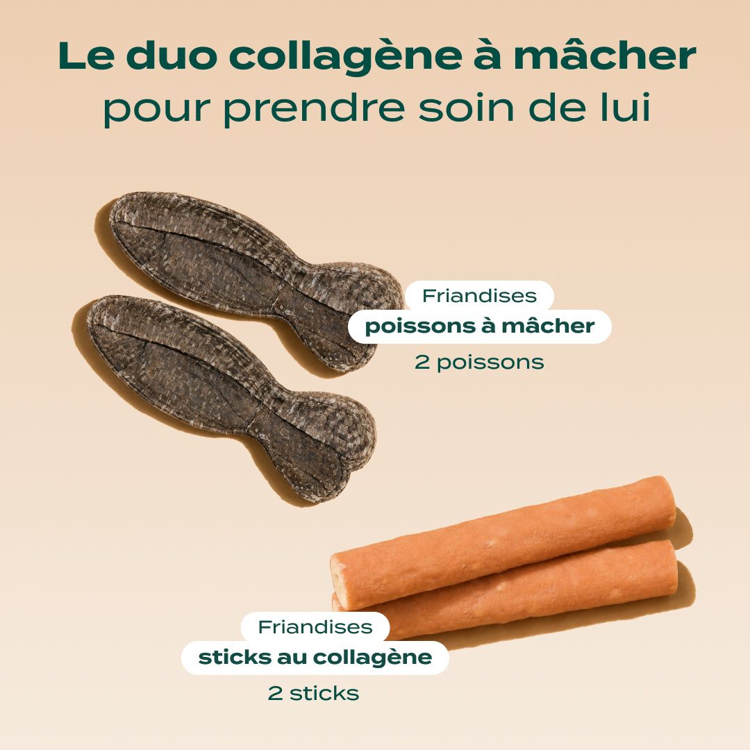 DUO 100% COLLAGÈNE