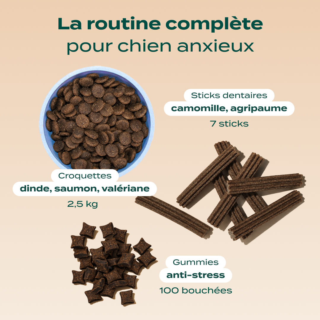 PACK ANTI-STRESS CHIEN