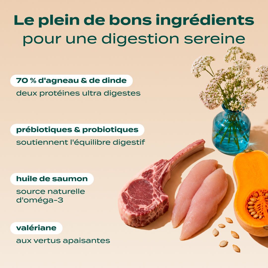 AGNEAU, DINDE, VALÉRIANE
