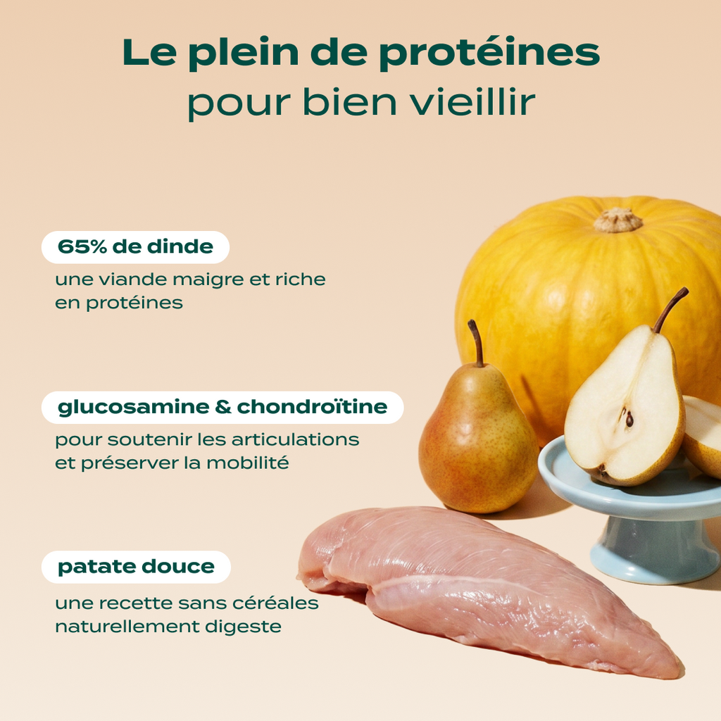 DINDE, COURGE, POIRE